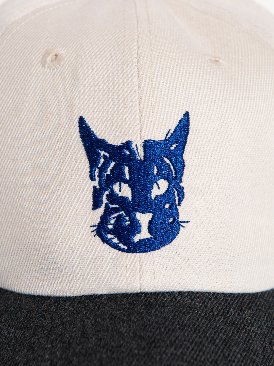 cat cap