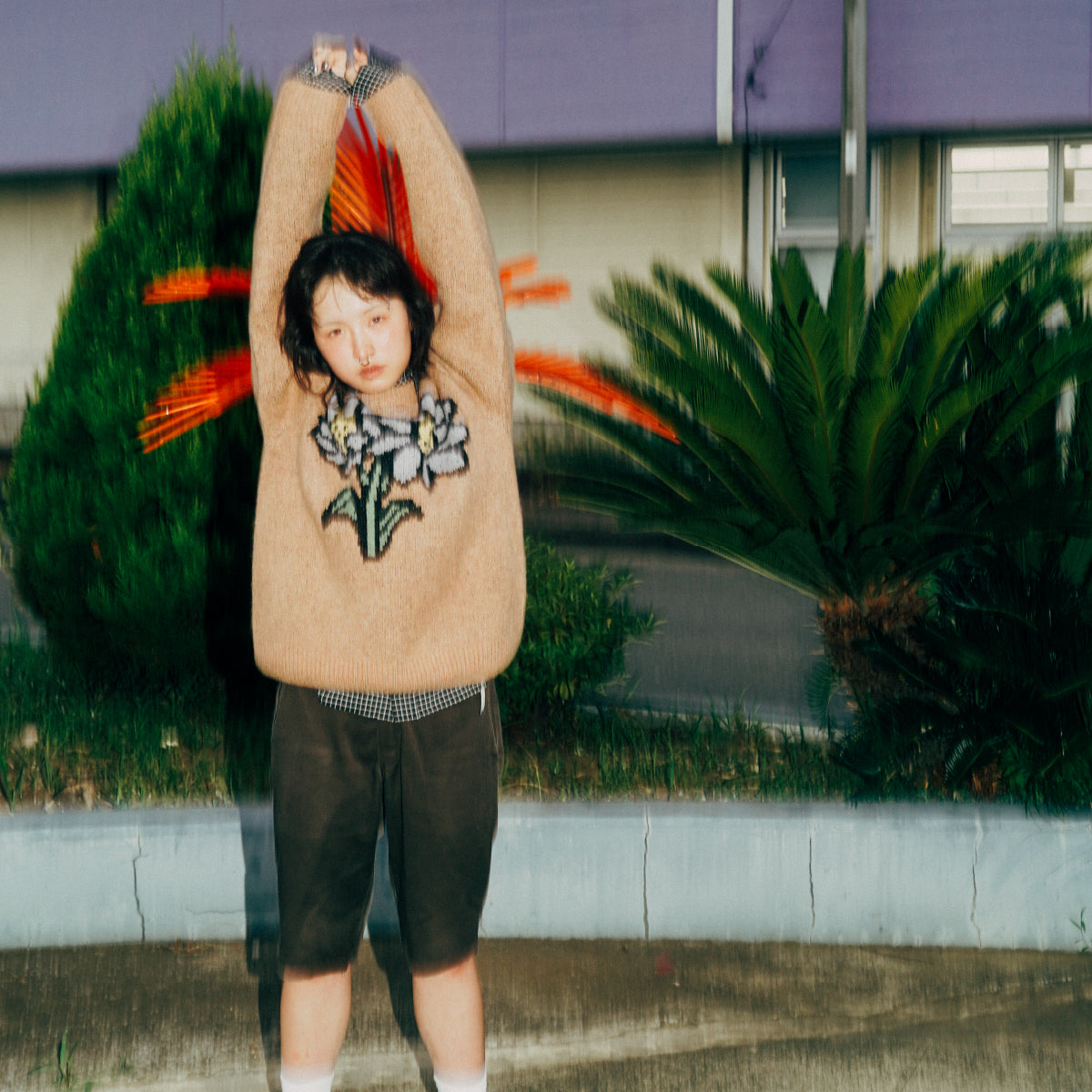 flower crew neck knit