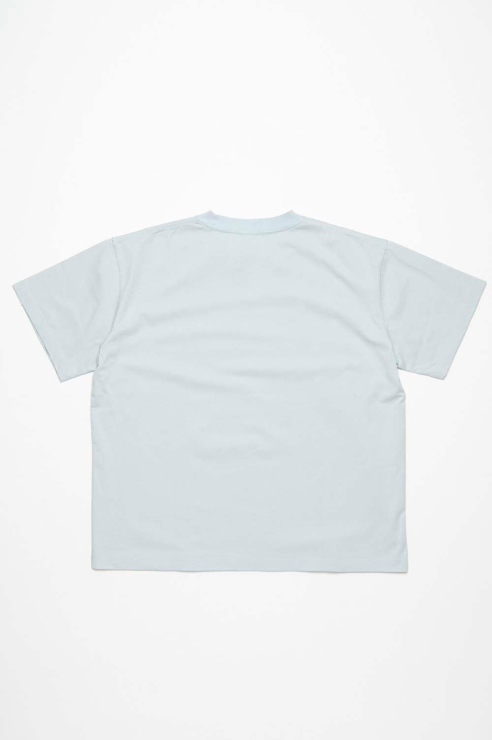 SWIM IN HELL T-shirt