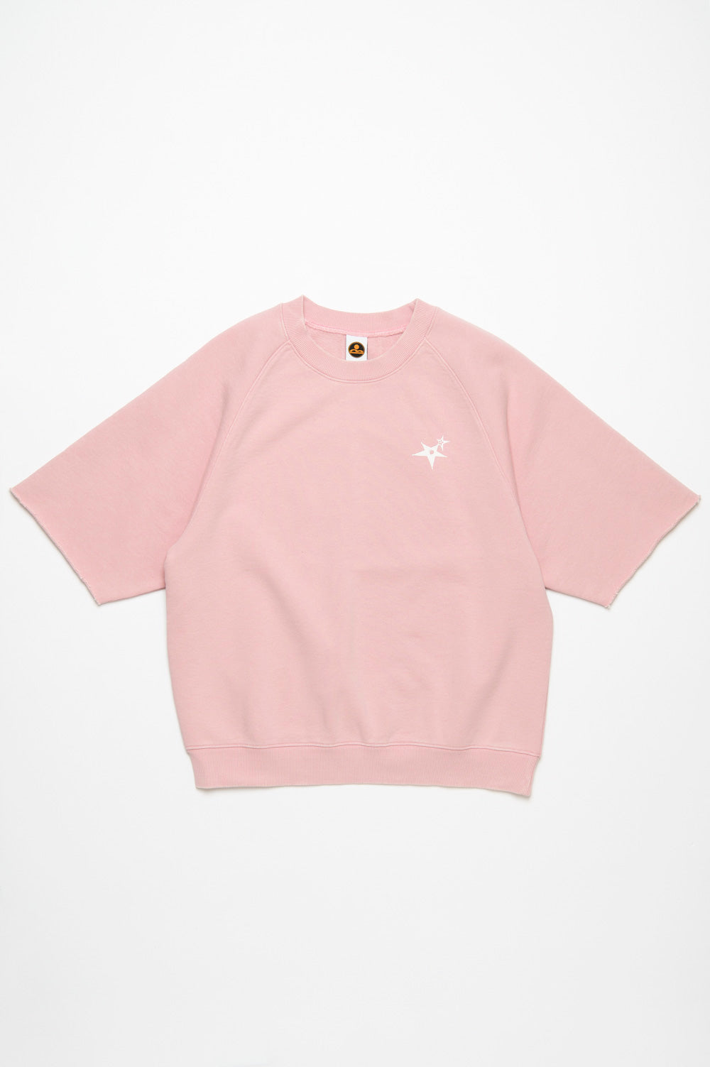 Powder processed sweat T-shirt