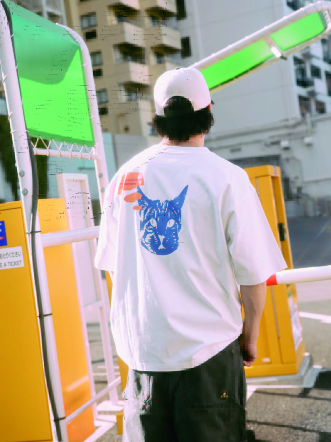 cat cap