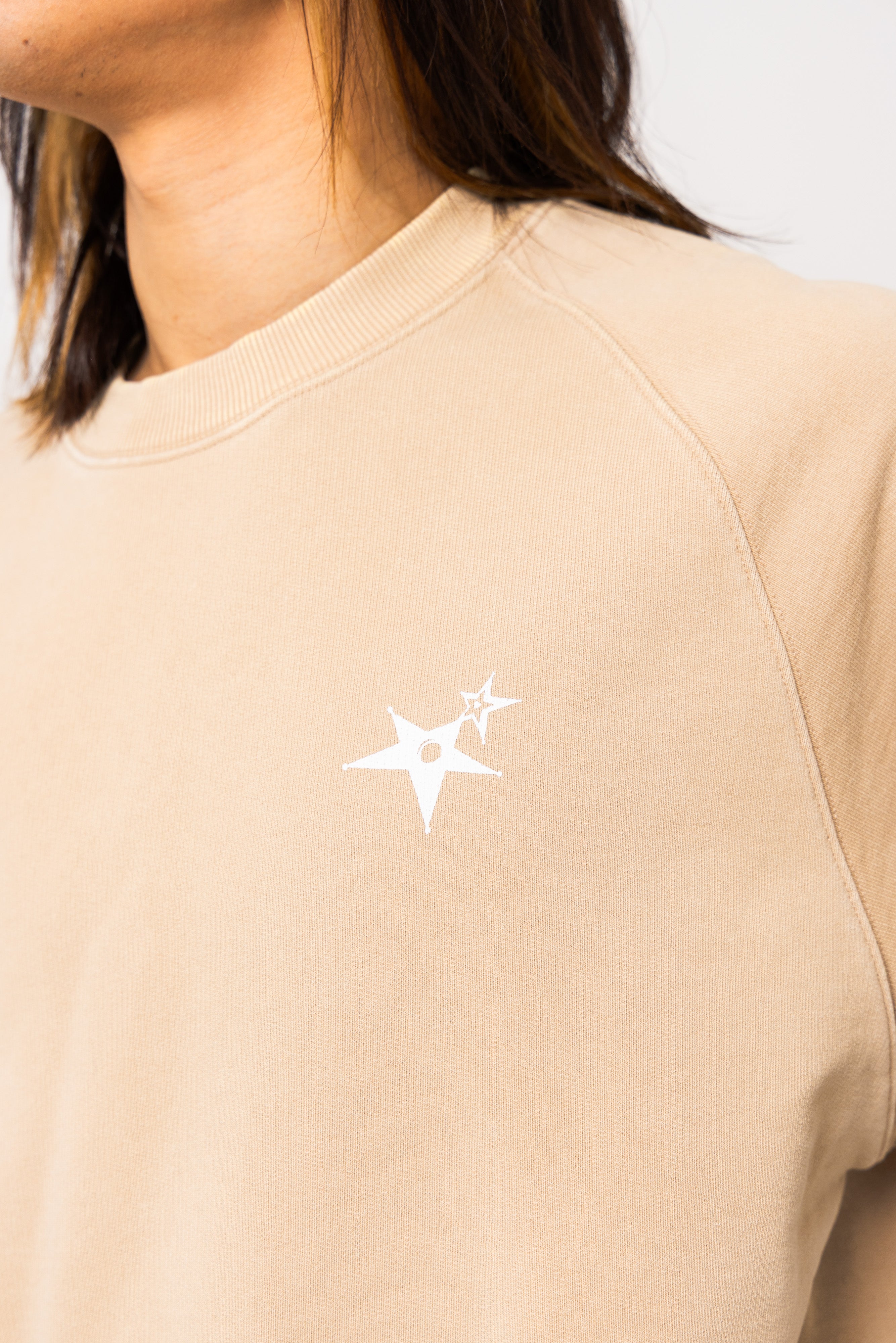Powder processed sweat T-shirt