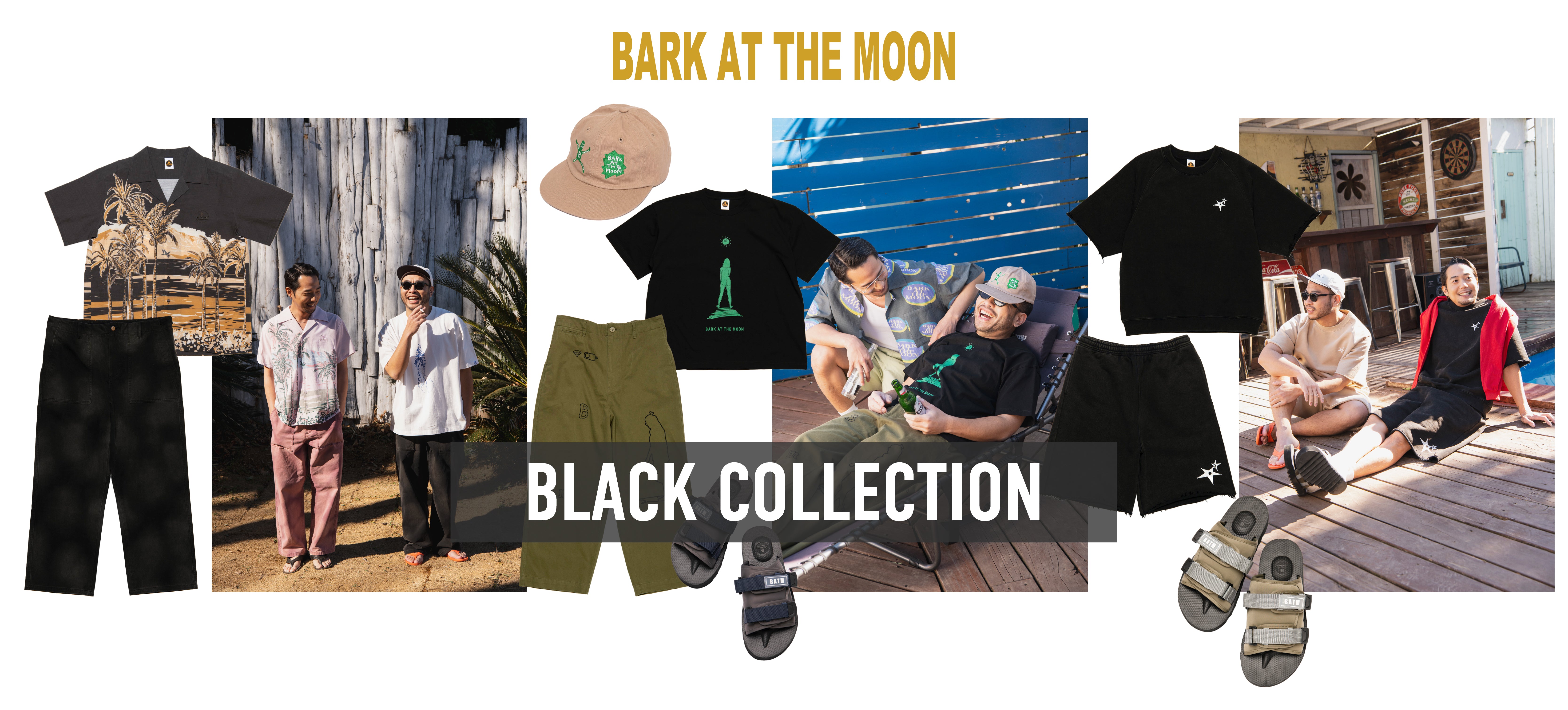 LP_black_BANNER.jpg?v=